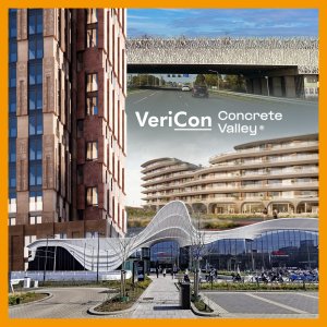 VeriCon excursion day