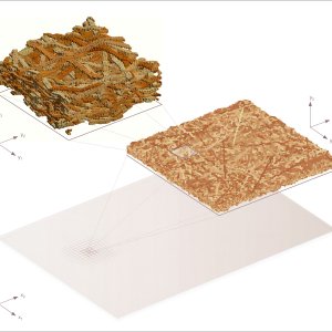 End Colloquium Daan Bax