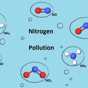 #8 The nitrogen-debate: The misleading name of the nitrogen crisis